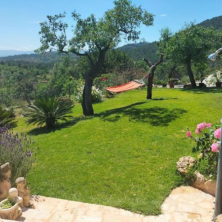 Villa Sa Teulera Etv7398 アラロ エクステリア 写真