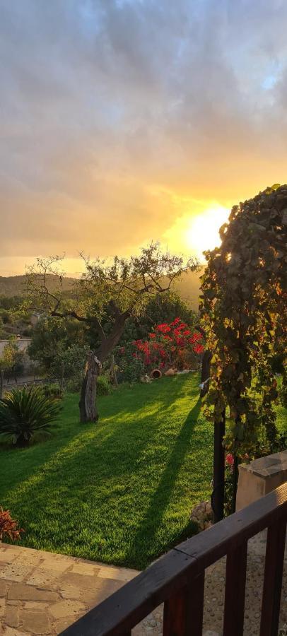 Villa Sa Teulera Etv7398 アラロ エクステリア 写真