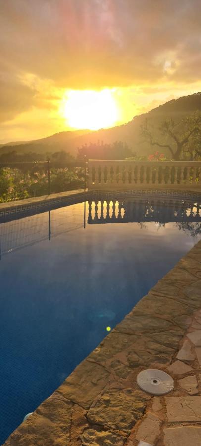 Villa Sa Teulera Etv7398 アラロ エクステリア 写真