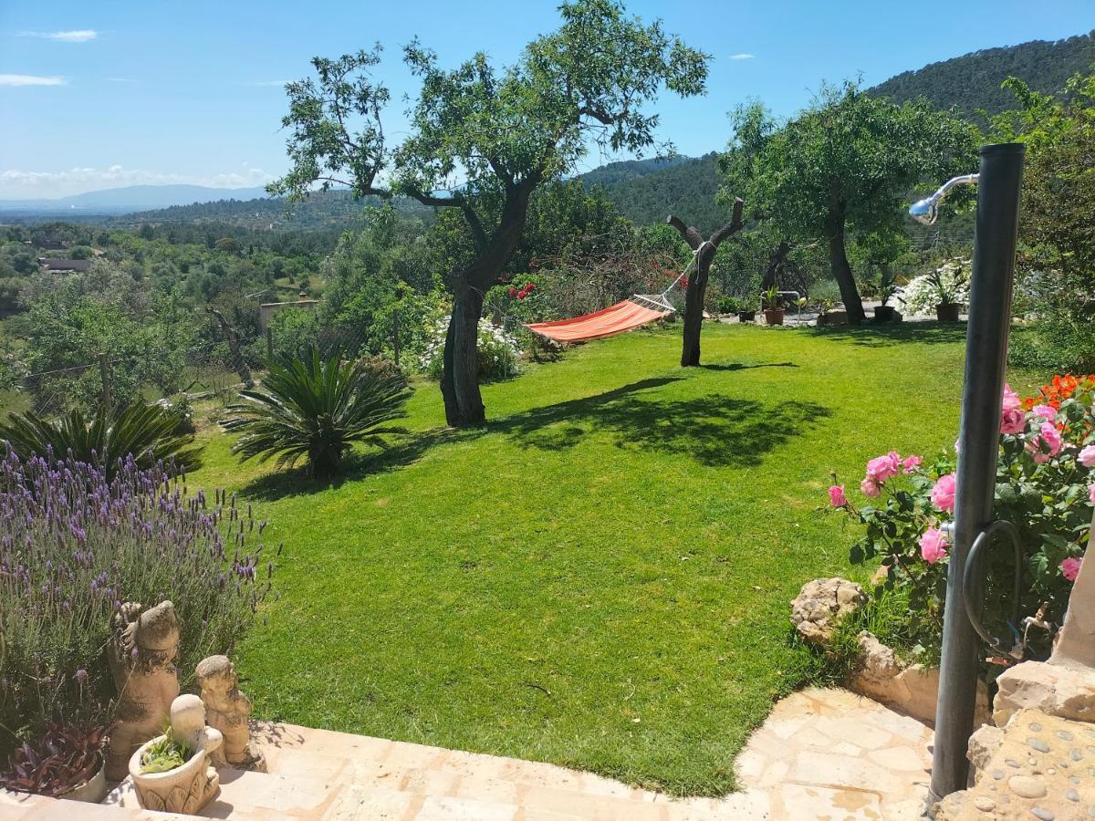Villa Sa Teulera Etv7398 アラロ エクステリア 写真