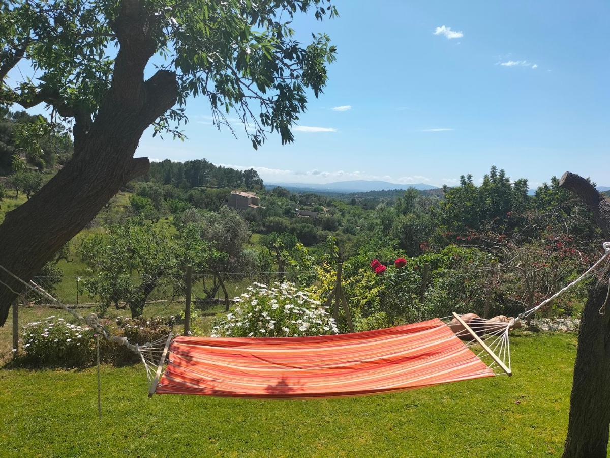 Villa Sa Teulera Etv7398 アラロ エクステリア 写真