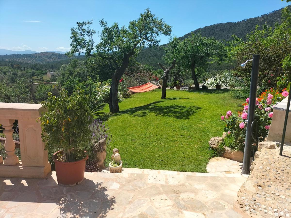 Villa Sa Teulera Etv7398 アラロ エクステリア 写真