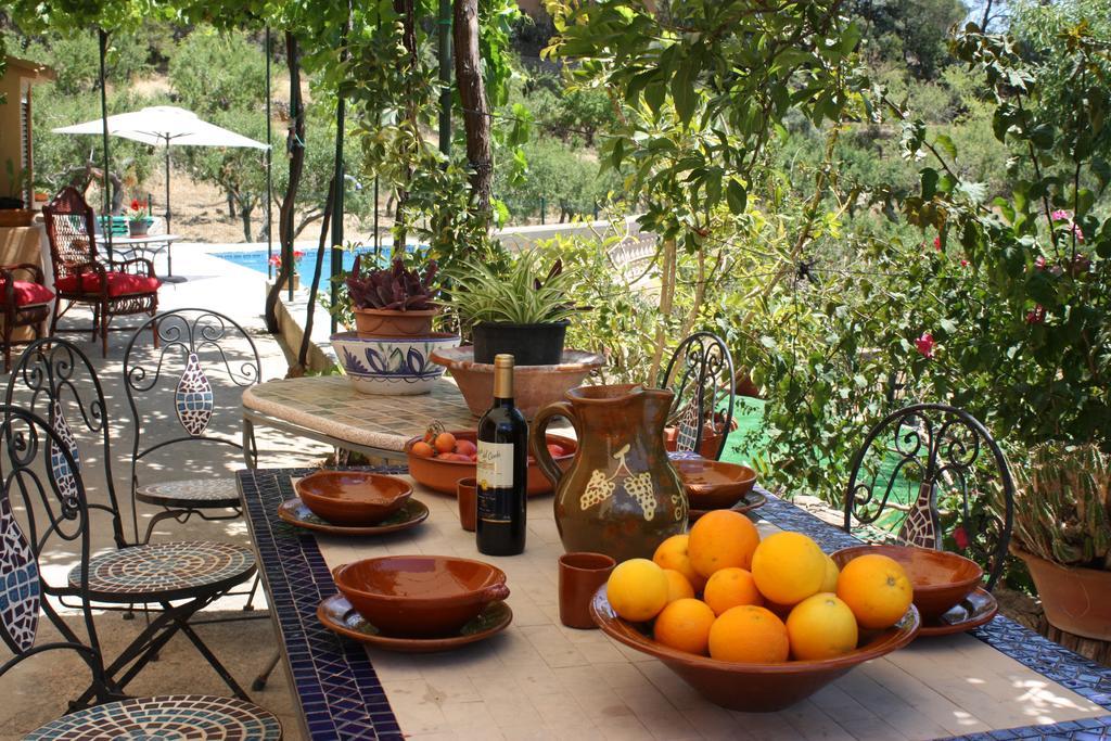 Villa Sa Teulera Etv7398 アラロ エクステリア 写真