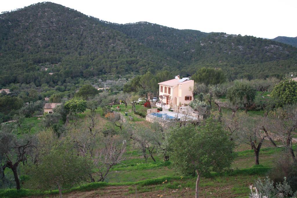 Villa Sa Teulera Etv7398 アラロ エクステリア 写真